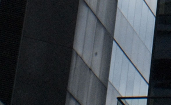 p344447205.jpg