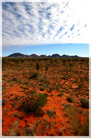 The Olgas - NT