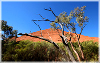 The Olgas - NT